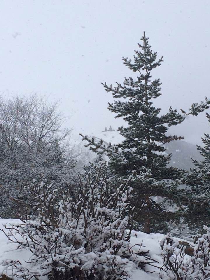 Powder Snow